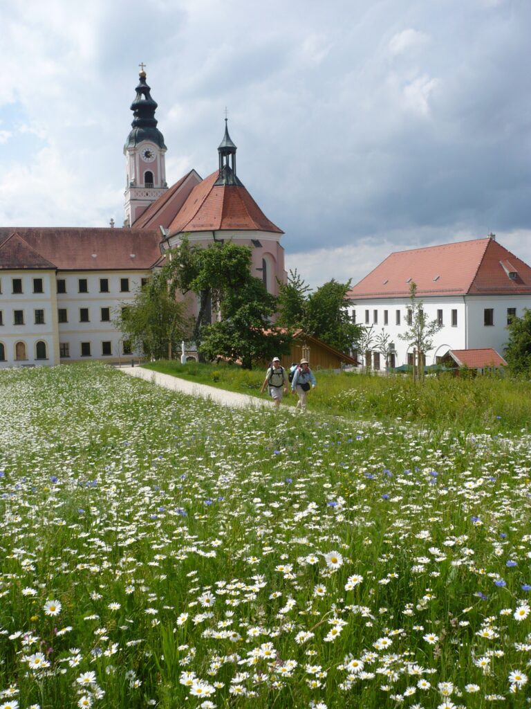 Klostergarten mit Wiese-1