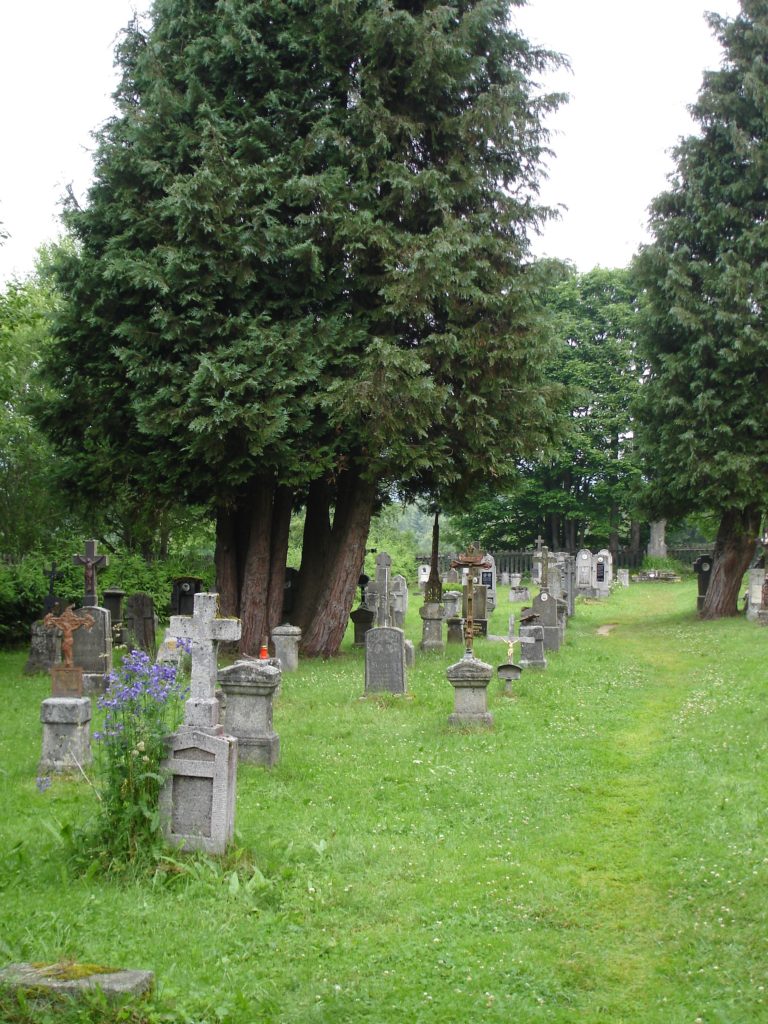 Max Greiner führt die Teilnehmer der grenzüberschreitenden Wanderung auch über den restaurierten Friedhof von Knižecí Pláně (Fürstenhut). (Foto: WaldZeit)