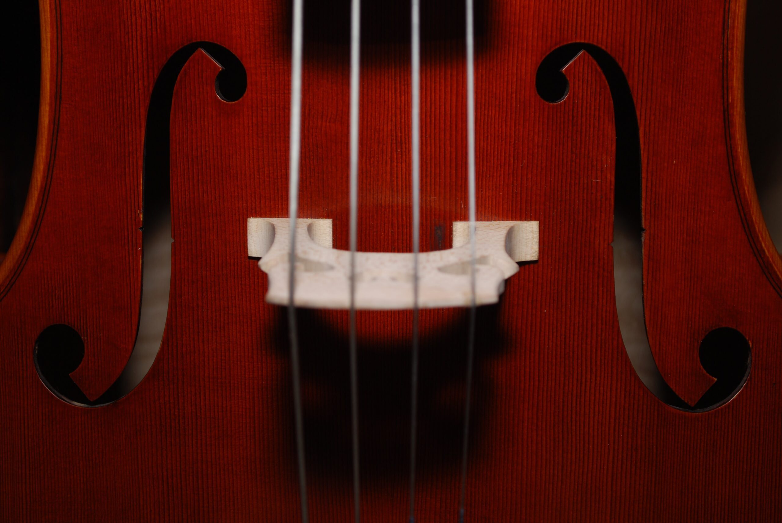 zach-doty-h79mqiSg0GQ-unsplash